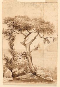 An der Küste des Mittelmeers von Charles Nicolas Ransonnette