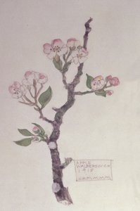Apfel, Walberswick, 1915