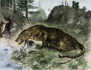 Urgeschichte: ein Mesonyx an den Ufern des Lake Uintah in Utah und Wyoming (USA) von Charles Robert Knight