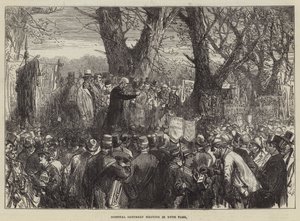 Hospital Saturday Meeting im Hyde Park von Sir John Charles Robinson