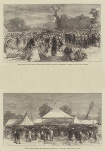 Prinz Arthur auf der Ausstellung der Royal Horticultural Society in Birmingham von Sir John Charles Robinson