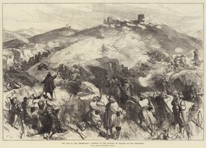 Der Krieg in der Herzegowina, Erstürmung der Festung Palanka durch die Aufständischen