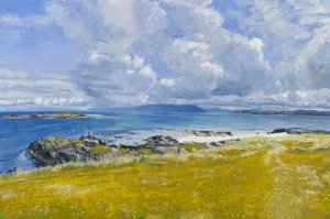 Nordküste, Iona, 2015