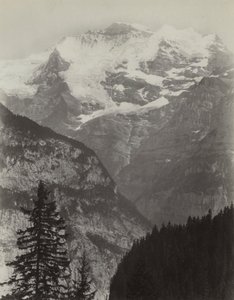 Jungfrau, Blick von Mürren, Schweiz