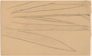 Studie einer Blume (verso)