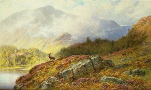 Hirsche in einer Hochlandlandschaft