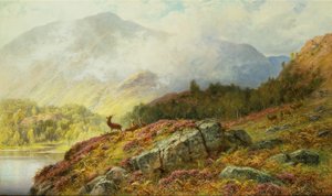 Hirsche in einer Hochlandlandschaft