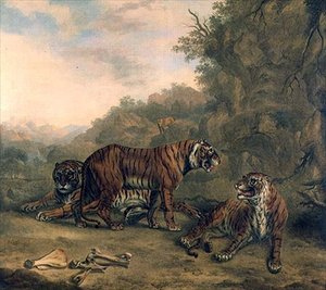 Tiger in einer bewaldeten Landschaft