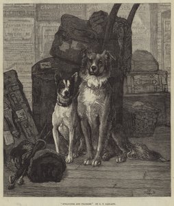 Fremde und Pilger von Charles Trevor Garland