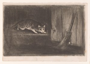 Katze und Maus