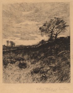 Landschaft
