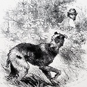 Ein Wilderer mit seinem Lurcher