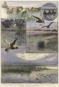 Entenjagd auf Long Point Island von Charles Whymper
