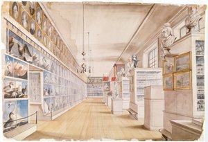 Der Lange Raum, Innenansicht des Vorderzimmers im Peales Museum, 1822 von Charles Willson Peale