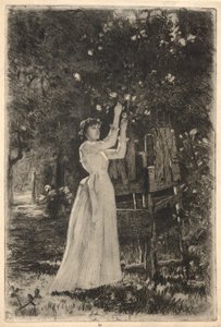 Eine junge Frau pflückt Blüten von einem Baum