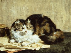 Eine getigerte Katze
