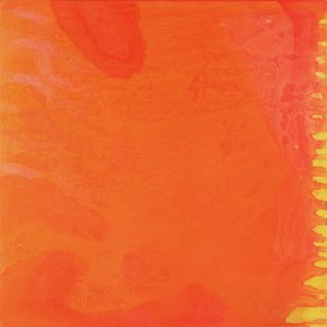 Kaninchen Orange von Charlotte Johnstone
