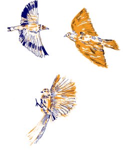 Vögel, 2020