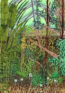 Botanischer Garten, 2017 von Charlotte Orr