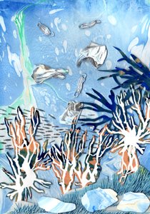 Korallenriffe von Charlotte Orr