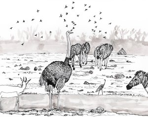 Safari 2, 2018 von Charlotte Orr
