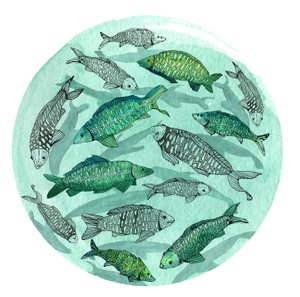 Kleiner Fisch großer Teich, 2018