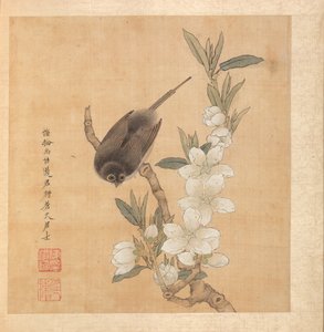 Vogel und Pfirsichblütenzweig, 1598-1652