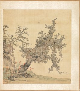 Ein alter Baum