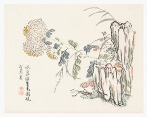 Chrysantheme, Mustard Seed Garden Manual von Cheng An (after)