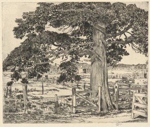 Große Zeder, Wainscott, L. I., 1929 von Childe Hassam
