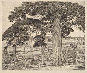  von Childe Hassam