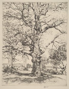  von Childe Hassam