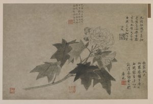 Ein Zweig Holzpfingstrose, möglicherweise Qing-Dynastie