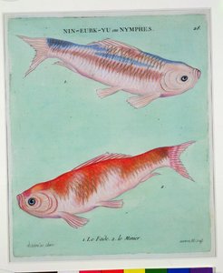 Le Fade, Le Minier, graviert von Francois Nicholas Martinet von Chinese School