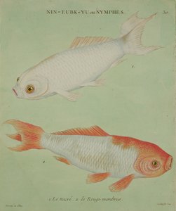 Le Nacre, Le Rougi-Membres, graviert von Francois Nicholas Martinet von Chinese School