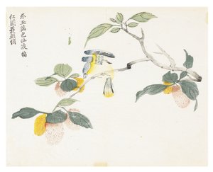 Senfkorn-Garten von Chinese School