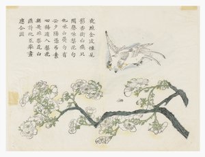 Senfkorn-Garten von Chinese School