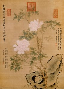 Pfingstrosen und Felsen, 1893 von Chinese School