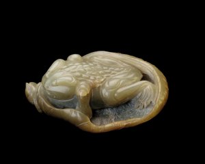 Kröte auf einem Lotusblatt, 1500-1700