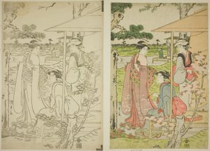 Kirschblüten von einem Teehaus auf dem Asuka-Hügel betrachten von Chobunsai Eishi