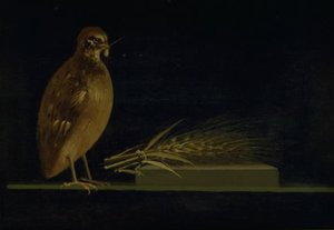 Wachtel, die einen Maiskolben frisst von Christen Købke