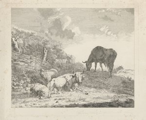Landschaft mit Vieh