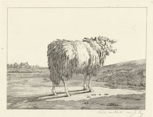 Schaf in einer Landschaft von Christiaan Godfried Schutze van Houten