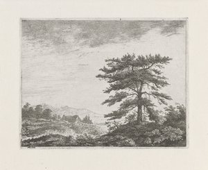 Baum in einer Heidelandschaft