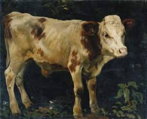 Ein Bullenkalb, 1876