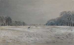 Hirsche im Schnee - Richmond Park, 2015 von Christian Furr