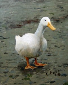 Gans von Christian Furr