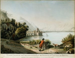 Blick auf Schloss Chillon