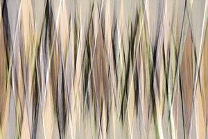 Abstrakte erdige Linien