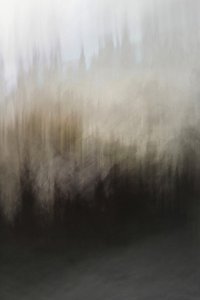 Abstrakte Waldgelassenheit